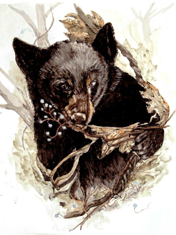 A black bear painting in Ozark pigments by Madison Woods.