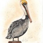 A brown pelican by Madison Woods in Ozark pigments.