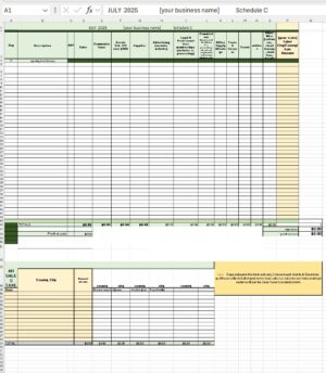 artist's income/expense spreadsheet.