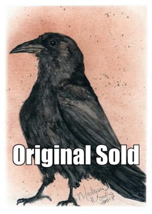 Kady's Crow