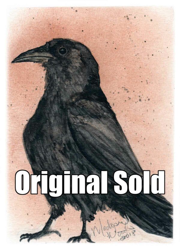 Kady's Crow