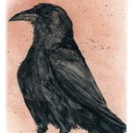 Get a print of Kady's Crow, by Madison Woods.