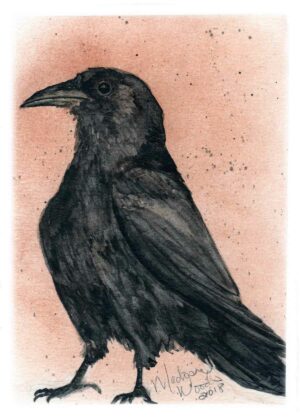 Get a print of Kady's Crow, by Madison Woods.