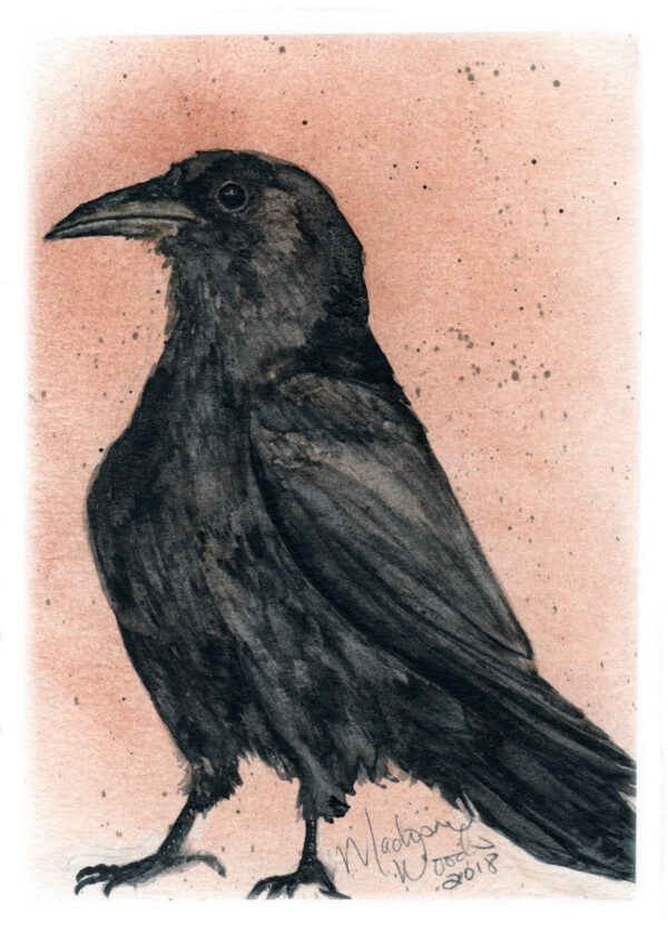 Get a print of Kady's Crow, by Madison Woods.