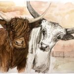 A painting by Madison Woods of a highland and longhorn cow in Ozark pigments.