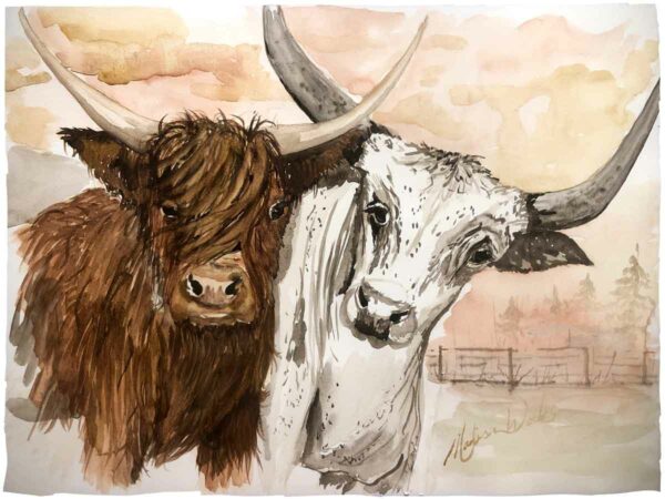 Best Friends | Highland and Longhorn Cow