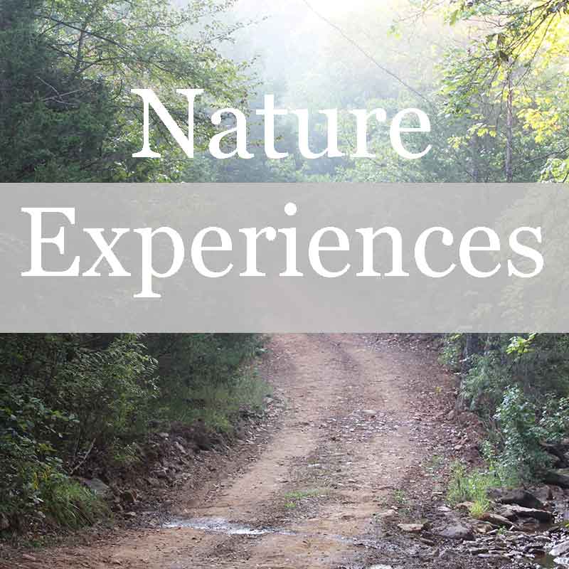 Combine nature and art at wild Ozark with our Nature Experiences.