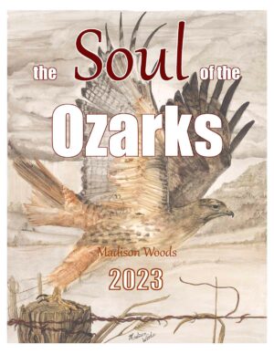 2023 Annual Artist Catalog | the Soul of the Ozarks