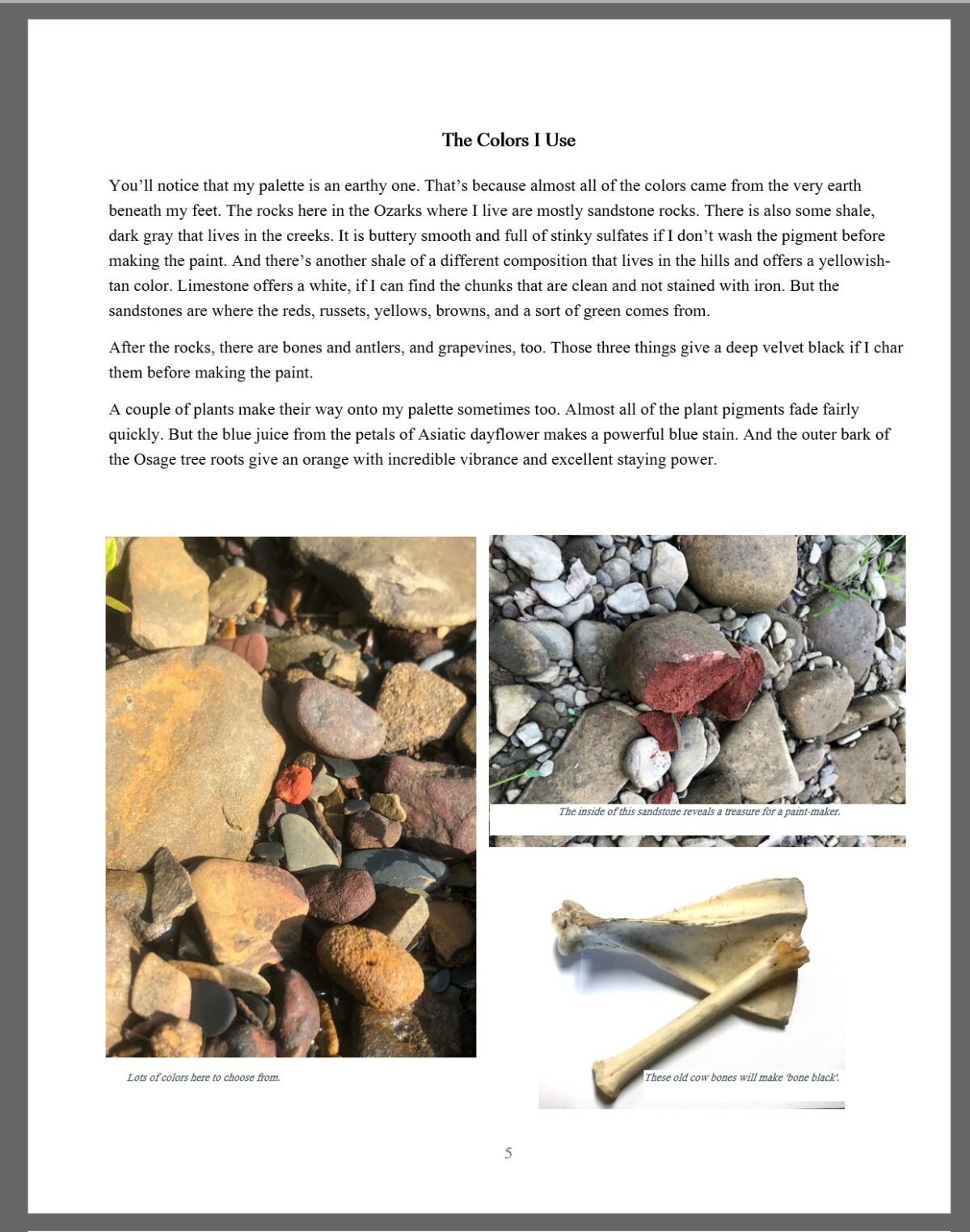 2023 Annual Artist Catalog the Soul of the Ozarks Shop Wild Ozark