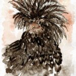 Painting of a Polish chicken.