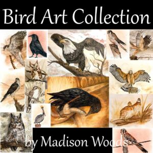 Bird Art Collection (Archival Prints)