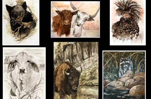 Critter Art Collection by Madison Woods