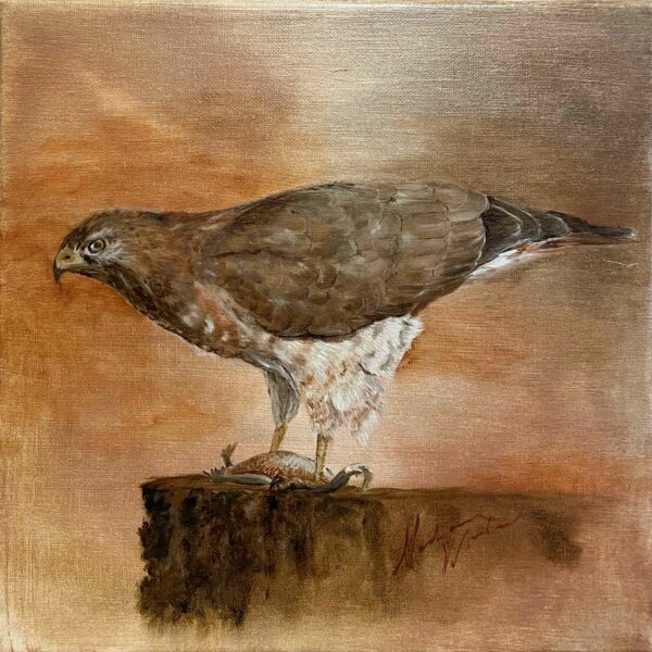 broad-winged hawk original painting-2