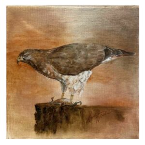 Dinner Time | Broad-winged Hawk Painting #2