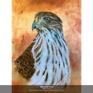 Blue-eyed Juvie | Cooper's Hawk Painting