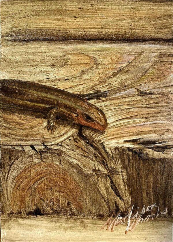 A Painting of a Skink | Hello, Little Friend