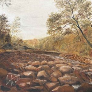 Felkins Creek in Summer