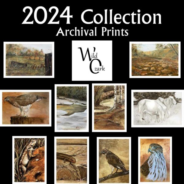 2024 Print Collection of works by Madison Woods.