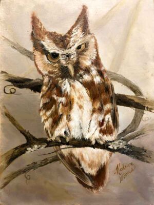 Prints of my screech owl painting.