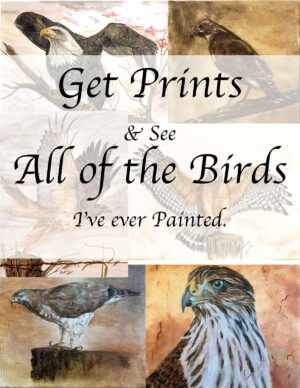 Bird Prints