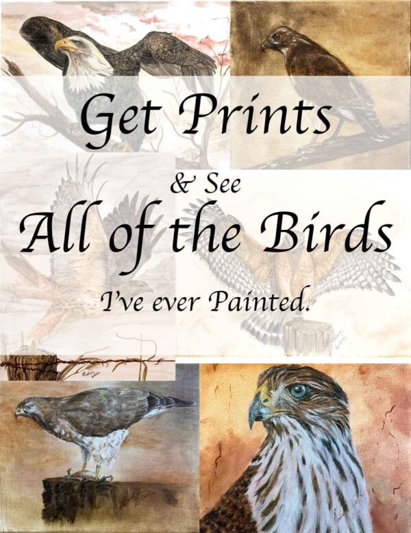 Bird Prints