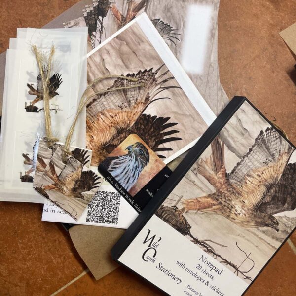 Wild Ozark Boxed Stationery Set - Image 4