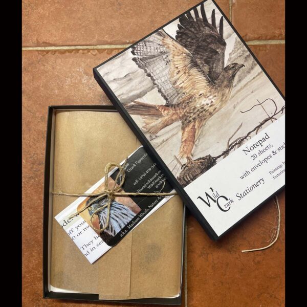 Wild Ozark Boxed Stationery Set - Image 5